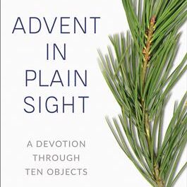 Advent In Plain Sight; A Devotion Through Ten Objects