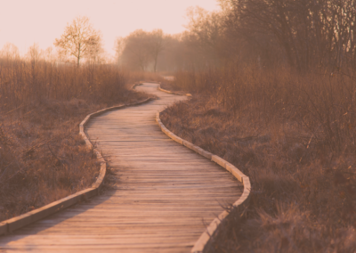 Finding Your Way in Creating a Discipleship Pathway