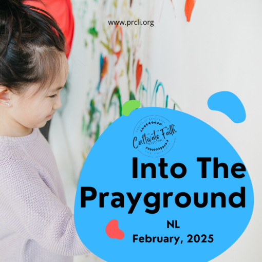 FEBRUARY: NL CONNECTIONS: Into The Prayground